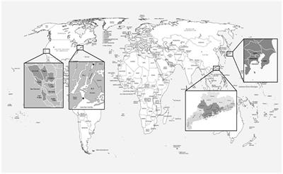 Sustainable future: A systematic review of city-region development in bay areas